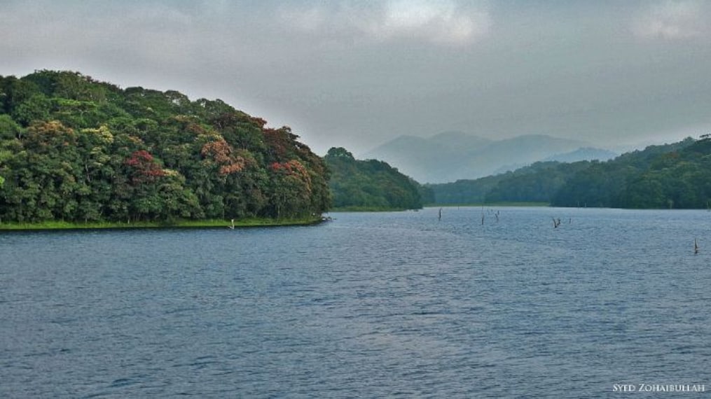 Periyar Lake-4